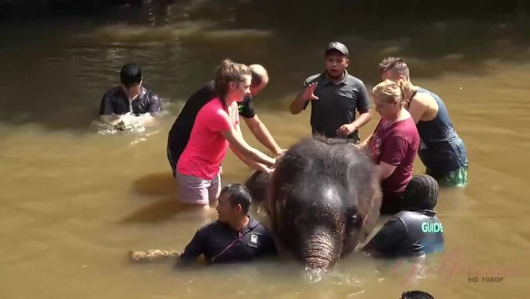 [ATKGirlfriends] - Elena Koshka's Exhibitionist Fantasy Comes to Life - Elena Koshka