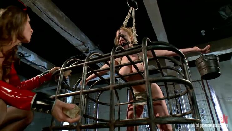 Lesdom Reigns: Ariel X Dominates Dee Williams