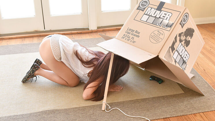 [ExxxtraSmall] -  Wee Wrongdoer Gets Wrecked  - Elle Voneva