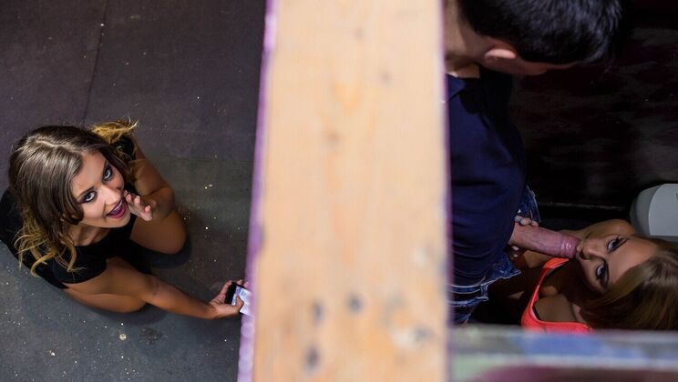 Picture Perfect Dick Theft