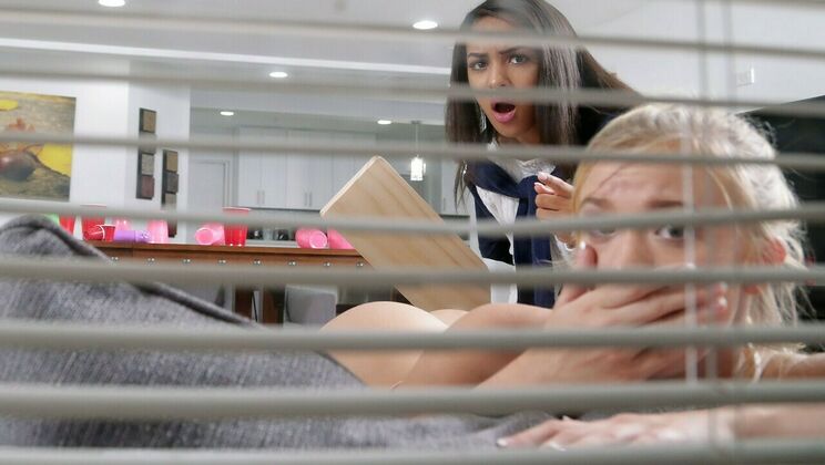 Pledge of Passion: A Sorority Story