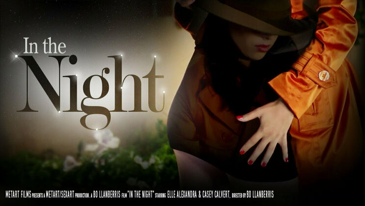 Nighttime Lesbian Passion